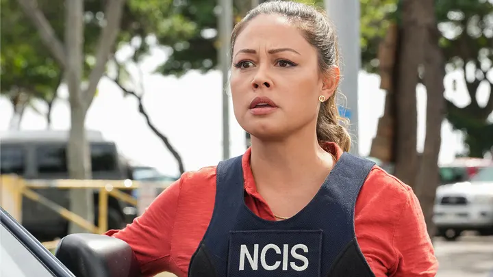 Vanessa Lachey said she was "blindsided" after her show "NCIS: Hawai'i" was canceled.