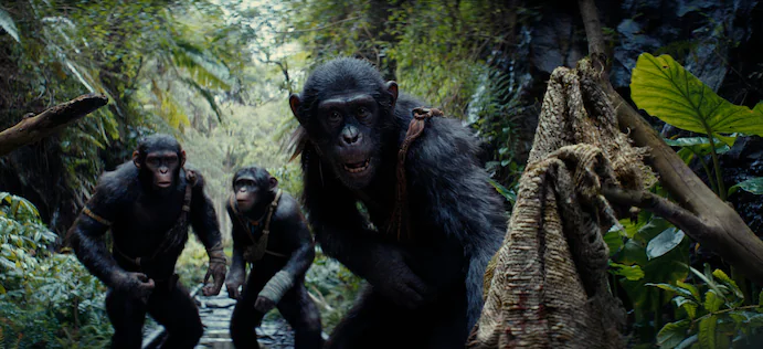 From left, Noa (played by Owen Teague), Soona (Lydia Peckham) and Anaya (Travis Jeffery) in “Kingdom of the Planet of the Apes.” (20th Century Studios)